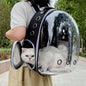 Sac de Transport Transparent Premium pour Chien & Chat – Confort, Sécurité & Vue Panoramique