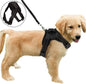 Laisse Rétractable Premium pour Chien & Chat – Liberté, Contrôle & Sécurité