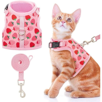 Laisse Rétractable Premium pour Chien & Chat – Liberté, Contrôle & Sécurité