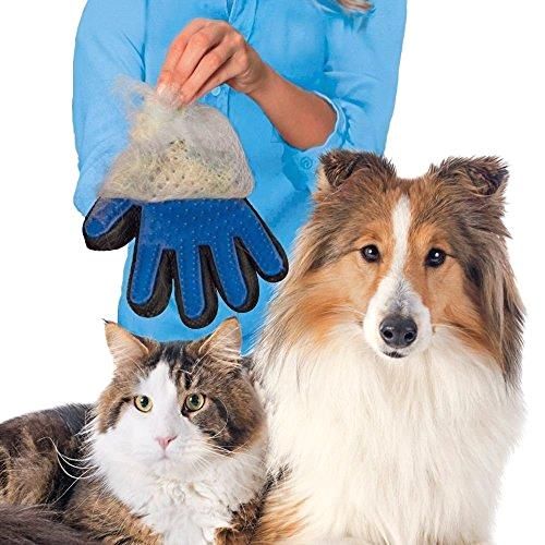 Gant de Toilettage Premium pour Chien & Chat – Élimine les Poils en Douceur
