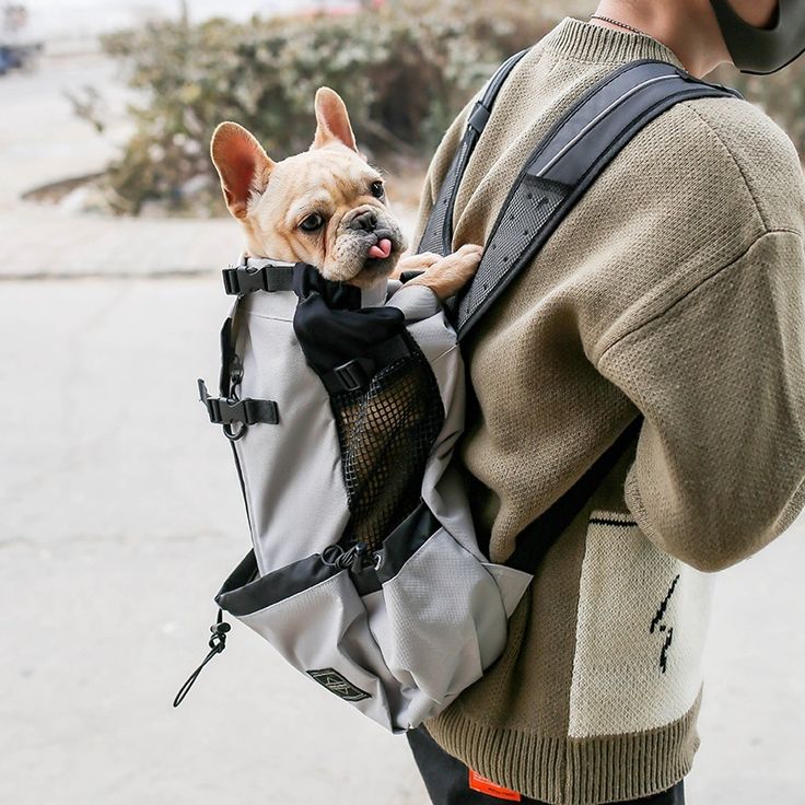Sac de Transport Premium pour Chien & Chat – Confort, Sécurité & Élégance