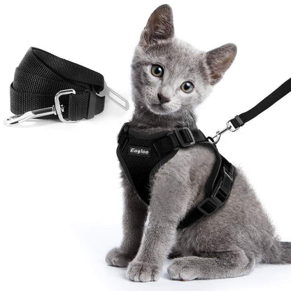 Laisse Rétractable Premium pour Chien & Chat – Liberté, Contrôle & Sécurité