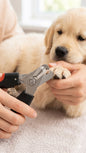 Coupe-Griffes Premium pour Chien & Chat – Coupe Précise, Rapide & Sécurisée